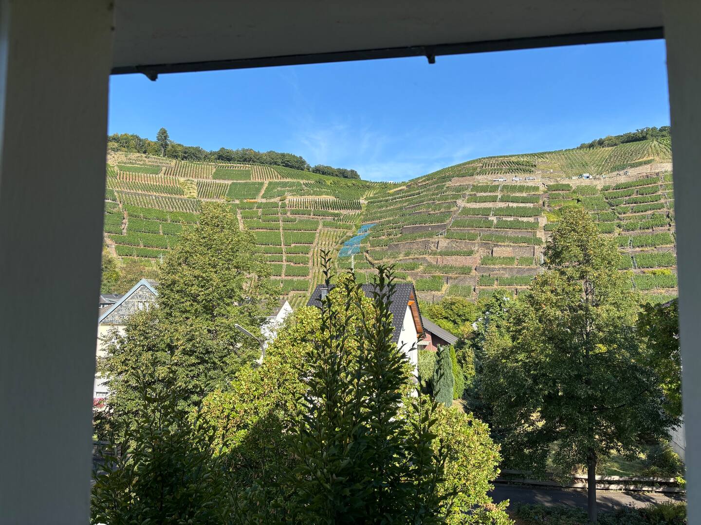 Aussicht vorne Ferienwohnung